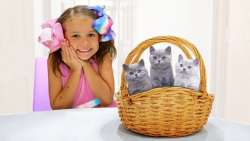 کتی بچه گربه هایش را پیش مکس آ...