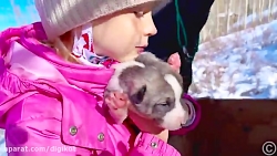 ناستیا و بابایی - بازی و ماجرا...