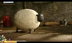 کارتون بره ناقلا  - پشم گوسفند ها