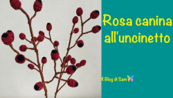 آموزش تصویری بافت میوه گل نسترن (Rose-hip)/ ویدئو به زبان ایتالیایی