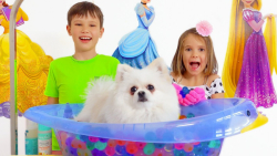 مکس و کتی سگ کوچک خود را می شو...