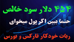 ربات خود معامله گر ایگل (ماه ژ...