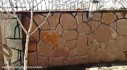 اجرای سنگ لاشه در دیوار و کف ف...