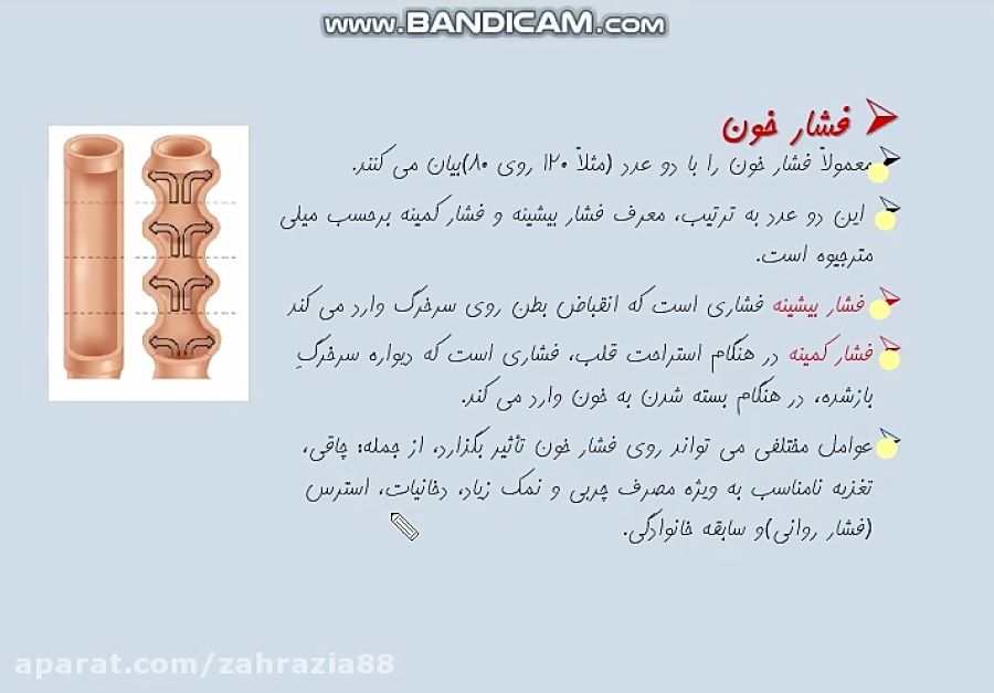گردش مواد - گفتار 2- رگ های خونی- پارت دوم - مدرس زهرا ضیاء