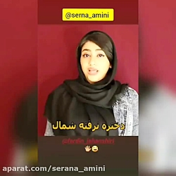 سرنا امینی استوری
