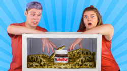 چالش غذا را حدس بزنید! موقعیت...