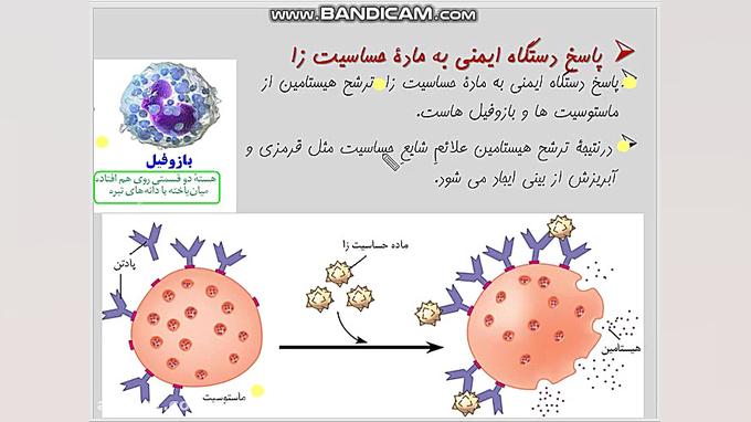 ایمنی گفتار 3- دفاع اختصاصی- سومین خط دفاع اختصاصی- پارت سوم - مدرس:زهرا ضیاء جراحی بینی