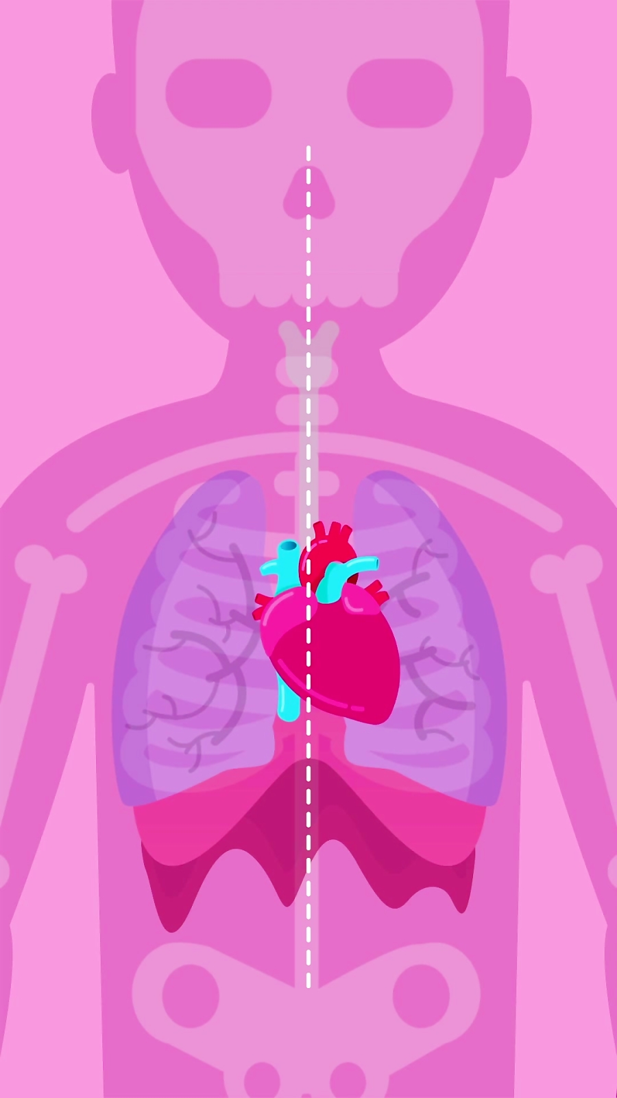 قلب و رگ های خونی: قسمت 1 - معرفی ساختار و آناتومی قلب زمان563ثانیه