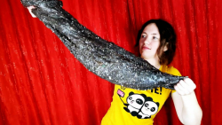 مجموعه سرگرمی و تفریح با اسلای...