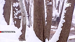 ترانه زیبای " گذشته ها " با صد...