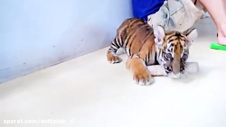 ولاد و نیکیتا  ولاد نیکیتا  ما...