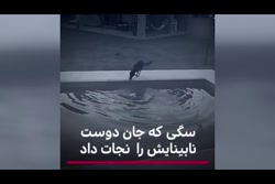 سگی که جان دوست نابینایش را نجات داد