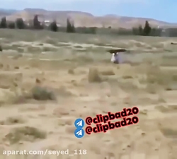 کلیپ حوادث / حمله عقاب به دختر...