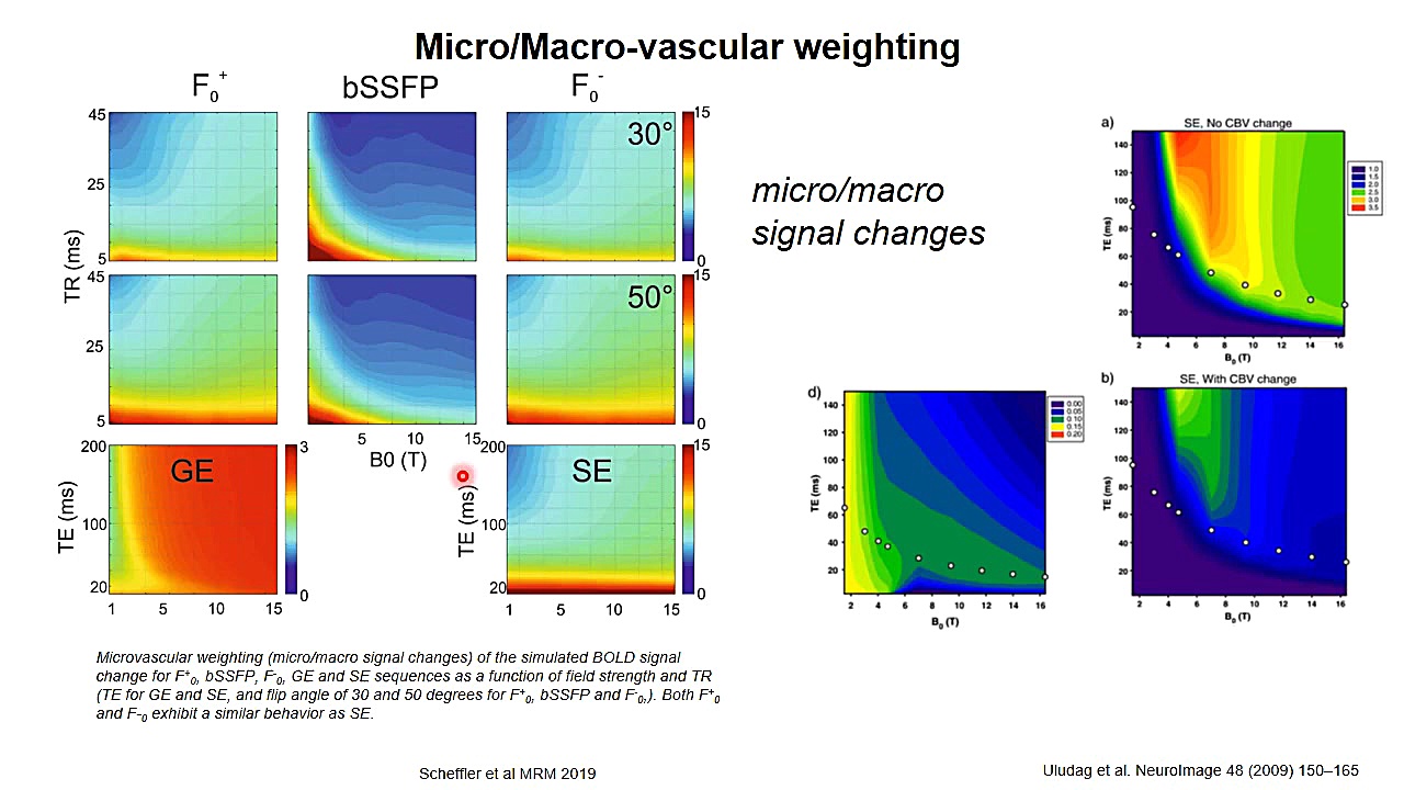 Physics of functional MRI: GE, SE BOLD لیفت ابرو