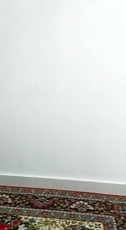 کشتی کج راک وجان سینا