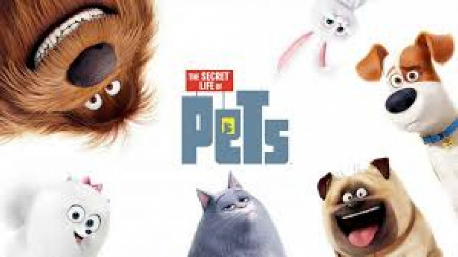 انیمیشن زندگی پنهان حیوانات 2 دوبله فارسی (The Secret Life of Pets 2 ) زمان5155ثانیه