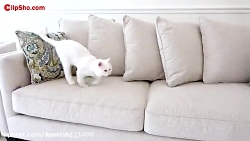 دیانا و روما - دیانا روما - دی...