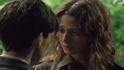 فیلم سینمایی بادی که در مرغزار...