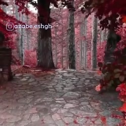 آهنگ جدید و شاد