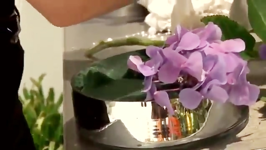 راهنمای تزئین گل عروس