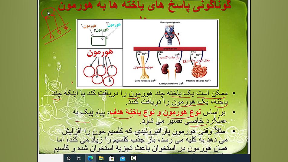 اپی فیز - تیموس لیزر فرکشنال