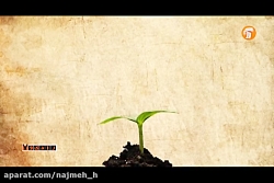 مغازه گیاهان دارویی پونه به قلم شرمین نادری و روایت سینا کرمی