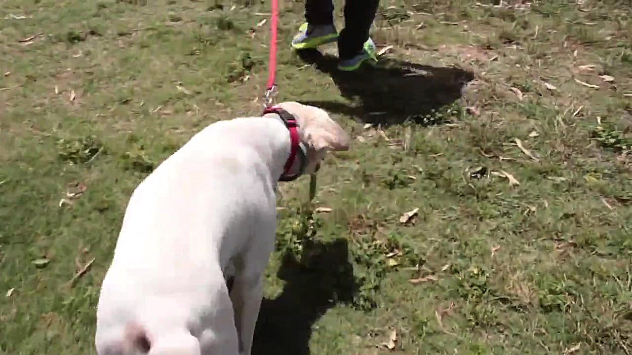 معرفی برنامه Any.do؛ ابزار برنامه ریزی و یادآوری زمان41ثانیه