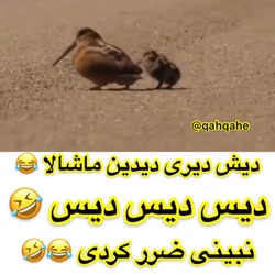 دیش دیری دیدین ماشالا