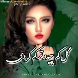 کلیپ عاشقانه دلی داشتم عاشق _...