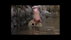 موسیقی ناب بختیاری