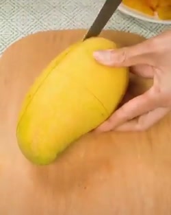 ایده وترفند