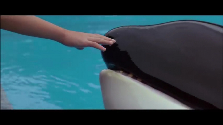 Free Willy 1993 // Scene 4 زمان163ثانیه