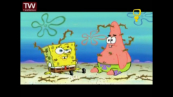 باب اسفنجی_یک حیوان خانگی یا چ...