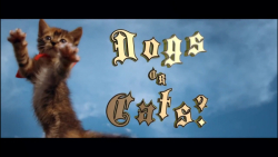 سوپر کتس VS سوپر داگز