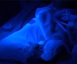 تصاویری از چهار قلوهای مشهدی د...