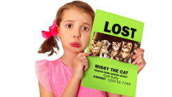 برنامه کودک - کتی و 5 بچه گربه...