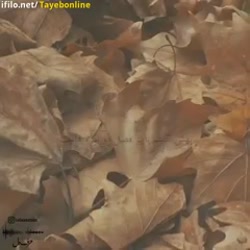 حرف دل  دلنوشته  دکلمه احساسی...