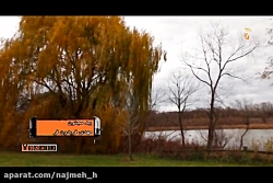 ۴شعر از فریدون مشیری