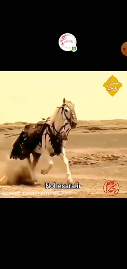 اسب امام حسین