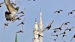 به مناسبت ایام فاطمیه و شهادت...