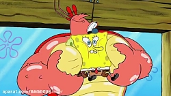 باب اسفنجی جدید