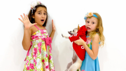 استیسی شو - ناستیا شو - ناستیا...