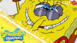 باب اسفنجی در مقابل زباله های...