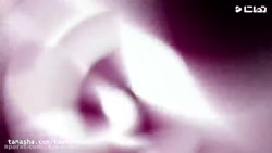 انیمیشن ماجراجویی در پاریس قسم...