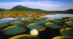ویدیو تدریس درس 14 فارسی نهم بخش 1