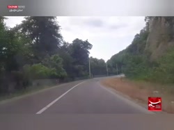 نابودی جنگل های مازندران به ثا...