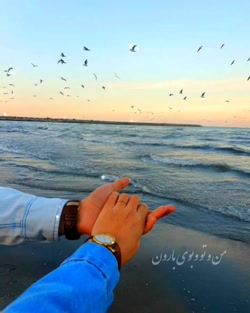 کلیپ جدید وضعیت واتساپ موزیک ع...