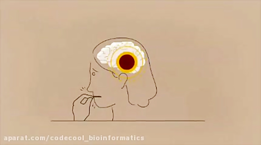چگونه استرس مغز را تحت تٲثیر قرار می دهد؟