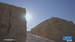 حامدتبریزی