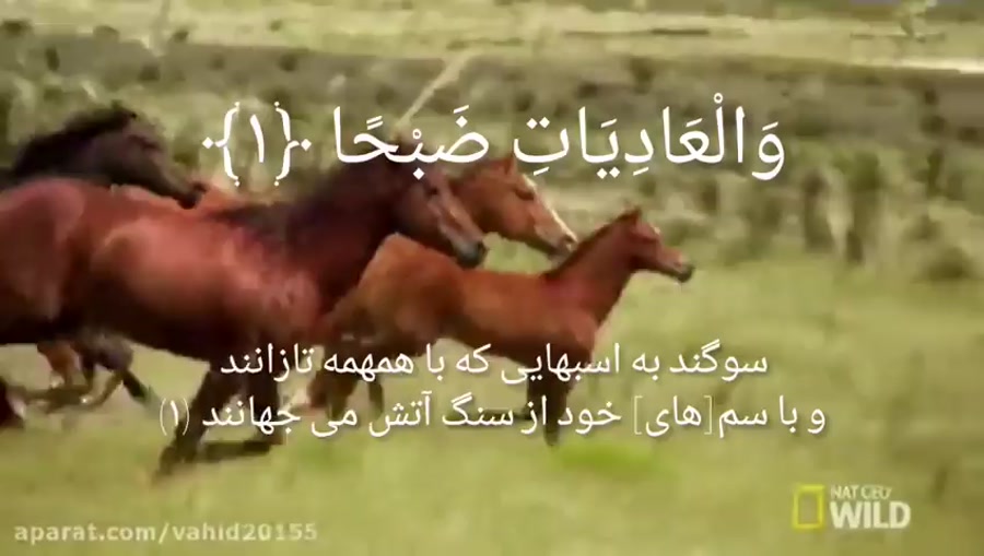 عادیات باصوت عبدالرحمن مسعد